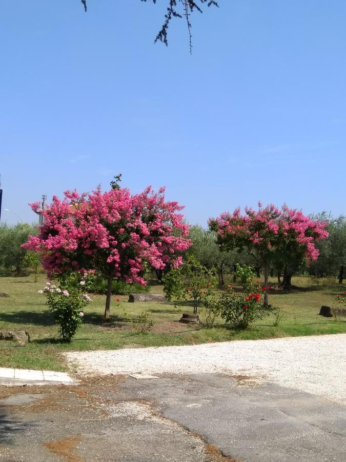 Casa Vacanze Le Rose Ariccia Exterior photo